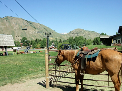 Jackson Hole - July 2010 (22).JPG